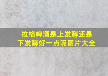 拉格啤酒是上发酵还是下发酵好一点呢图片大全