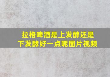 拉格啤酒是上发酵还是下发酵好一点呢图片视频