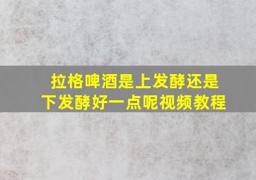 拉格啤酒是上发酵还是下发酵好一点呢视频教程