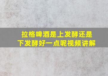 拉格啤酒是上发酵还是下发酵好一点呢视频讲解