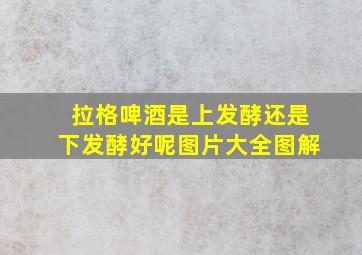 拉格啤酒是上发酵还是下发酵好呢图片大全图解