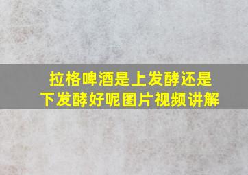 拉格啤酒是上发酵还是下发酵好呢图片视频讲解