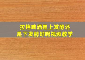 拉格啤酒是上发酵还是下发酵好呢视频教学