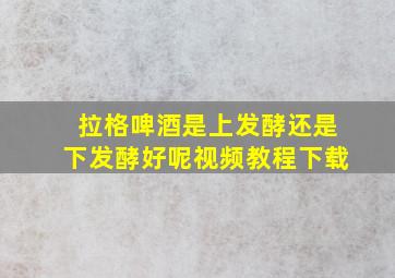 拉格啤酒是上发酵还是下发酵好呢视频教程下载