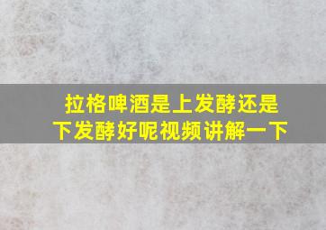 拉格啤酒是上发酵还是下发酵好呢视频讲解一下