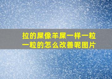 拉的屎像羊屎一样一粒一粒的怎么改善呢图片