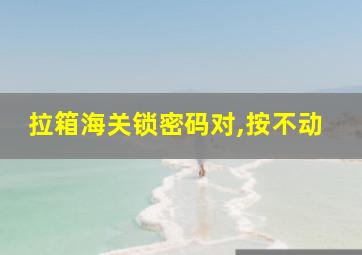 拉箱海关锁密码对,按不动