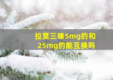 拉莫三嗪5mg的和25mg的能互换吗