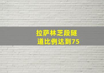 拉萨林芝段隧道比例达到75