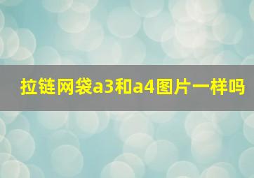 拉链网袋a3和a4图片一样吗