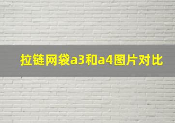 拉链网袋a3和a4图片对比