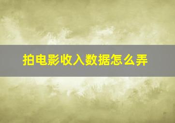 拍电影收入数据怎么弄