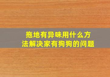 拖地有异味用什么方法解决家有狗狗的问题