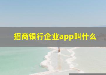 招商银行企业app叫什么