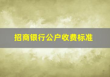 招商银行公户收费标准