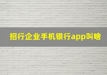 招行企业手机银行app叫啥