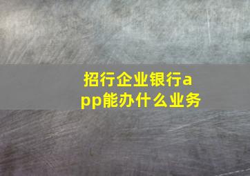 招行企业银行app能办什么业务