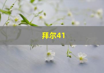 拜尔41