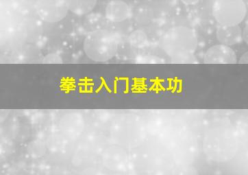 拳击入门基本功