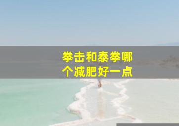 拳击和泰拳哪个减肥好一点