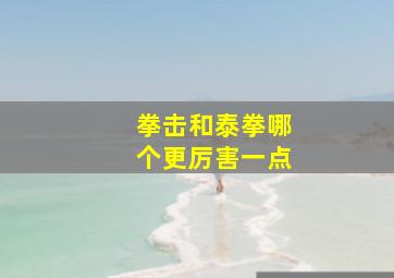 拳击和泰拳哪个更厉害一点