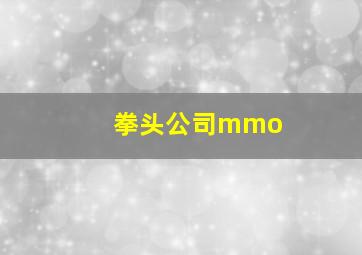 拳头公司mmo