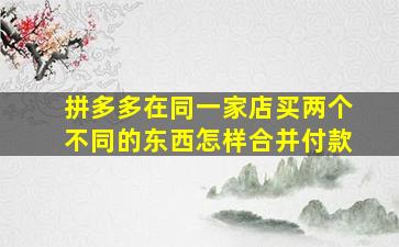 拼多多在同一家店买两个不同的东西怎样合并付款