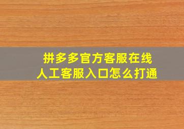 拼多多官方客服在线人工客服入口怎么打通