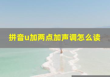 拼音u加两点加声调怎么读