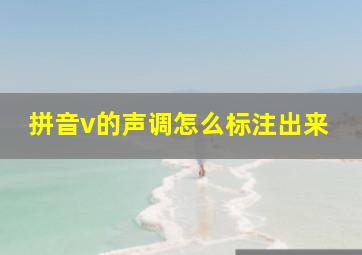 拼音v的声调怎么标注出来