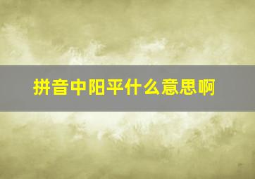 拼音中阳平什么意思啊