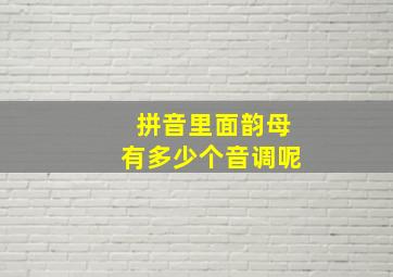 拼音里面韵母有多少个音调呢