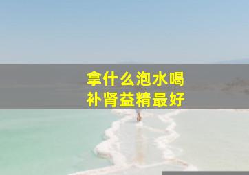 拿什么泡水喝补肾益精最好