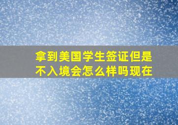 拿到美国学生签证但是不入境会怎么样吗现在