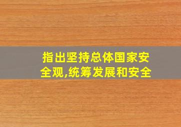 指出坚持总体国家安全观,统筹发展和安全