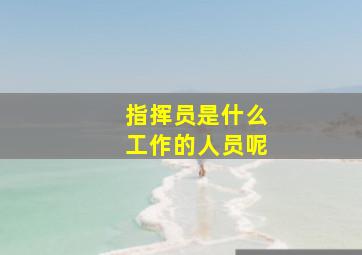 指挥员是什么工作的人员呢