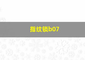 指纹锁b07