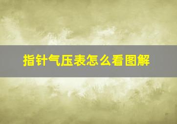 指针气压表怎么看图解