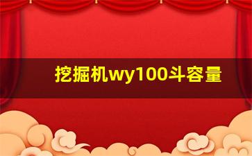 挖掘机wy100斗容量