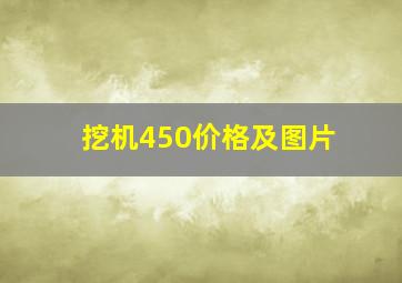 挖机450价格及图片