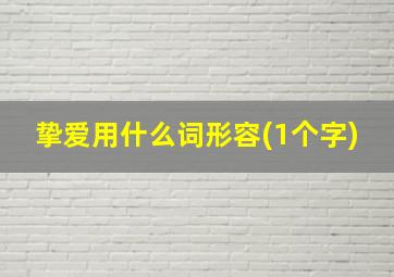 挚爱用什么词形容(1个字)