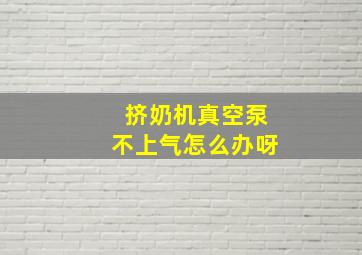 挤奶机真空泵不上气怎么办呀