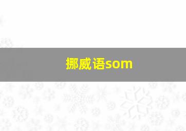 挪威语som