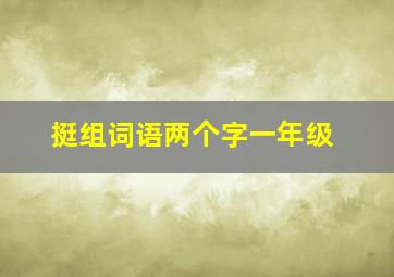 挺组词语两个字一年级