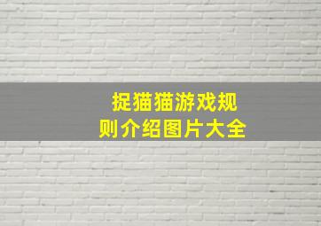 捉猫猫游戏规则介绍图片大全