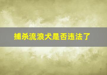 捕杀流浪犬是否违法了