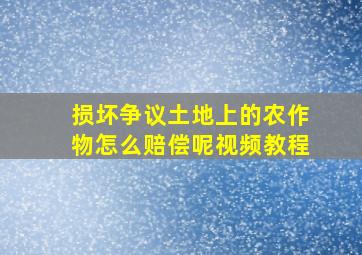 损坏争议土地上的农作物怎么赔偿呢视频教程