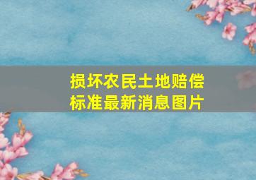 损坏农民土地赔偿标准最新消息图片