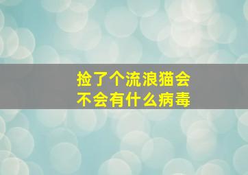 捡了个流浪猫会不会有什么病毒