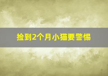 捡到2个月小猫要警惕